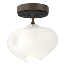 Hubbardton Forge 121372-SKT-05-10-FD0710 - Ume 1-Light Semi-Flush