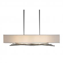 Hubbardton Forge 137660-SKT-SHRT-05-SF4298 - Brindille Pendant