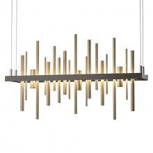 Hubbardton Forge 139725-LED-STND-07-84 - Cityscape LED Pendant