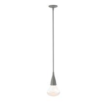 Hubbardton Forge 188902-SKT-MULT-20-ZM0676 - Fritz Large Pendant