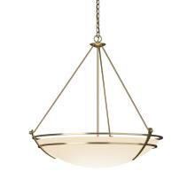 Hubbardton Forge 194431-SKT-86-GG0170 - Presidio Tryne Large Scale Pendant