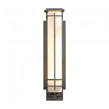 Hubbardton Forge 307861-SKT-78-GG0189 - After Hours Large Outdoor Sconce