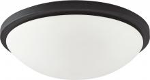 Nuvo 62/1442 - Button LED - 11"- Flush with Frosted Glass - Black Finish