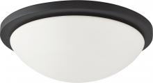 Nuvo 62/1443 - Button LED - 13"- Flush with Frosted Glass - Black Finish