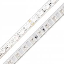 Diode Led DI-24V-NO9-35K-NA-10 - STRIP/TAPE LIGHT