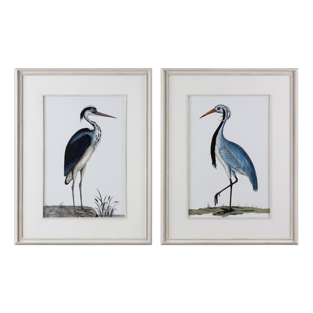 Uttermost Shore Birds Framed Prints Set/2