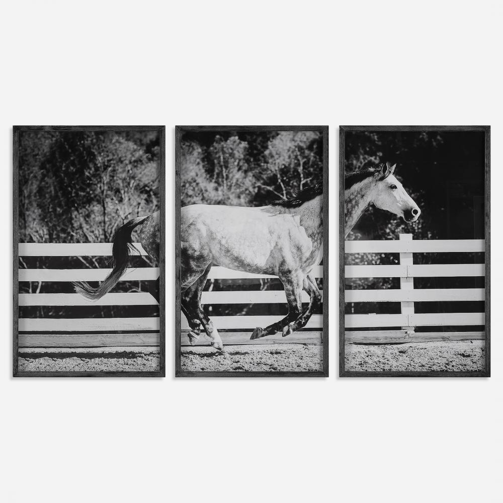 Uttermost Galloping Forward Equine Prints Set/3