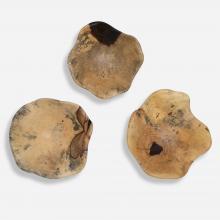 Uttermost 04107 - Uttermost Tamarine Wood Wall Art Set/3