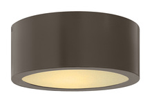 Hinkley 1665BZ - Small Flush Mount