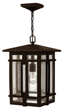 Hinkley 1962OZ - Medium Hanging Lantern