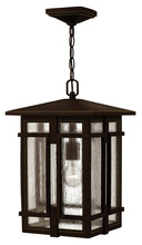 Hinkley 1962OZ - Large Hanging Lantern