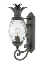 Hinkley 2120MB - Small Wall Mount Lantern
