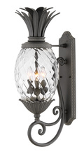 Hinkley 2124MB - Medium Wall Mount Lantern