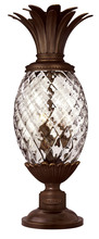 Hinkley 2221CB - Medium Post Top or Pier Mount Lantern