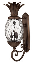 Hinkley 2224CB - Medium Wall Mount Lantern