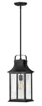 Hinkley 2392TK - Medium Hanging Lantern