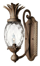 Hinkley 4140PZ - Single Light Sconce