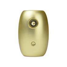 Fanimation DR1-CPBS - Ceiling Fan Downrod Coupler - Brushed Satin Brass