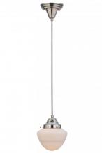 Meyda Tiffany 144054 - 7"W Revival Schoolhouse W/Emma Globe Pendant